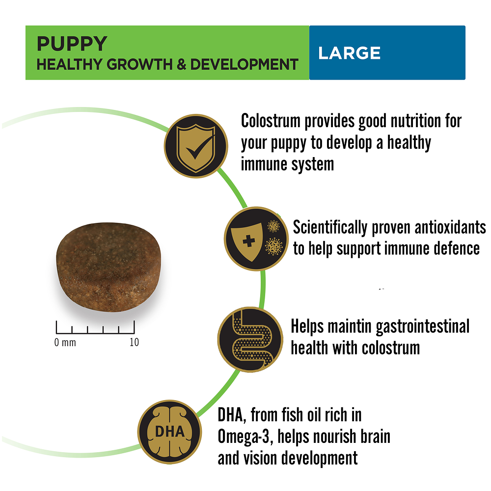 Pro Plan Chicken Large Breed Puppy Dog Dry Food (New Improved Formula) Dogs- Dry Food Pro Plan