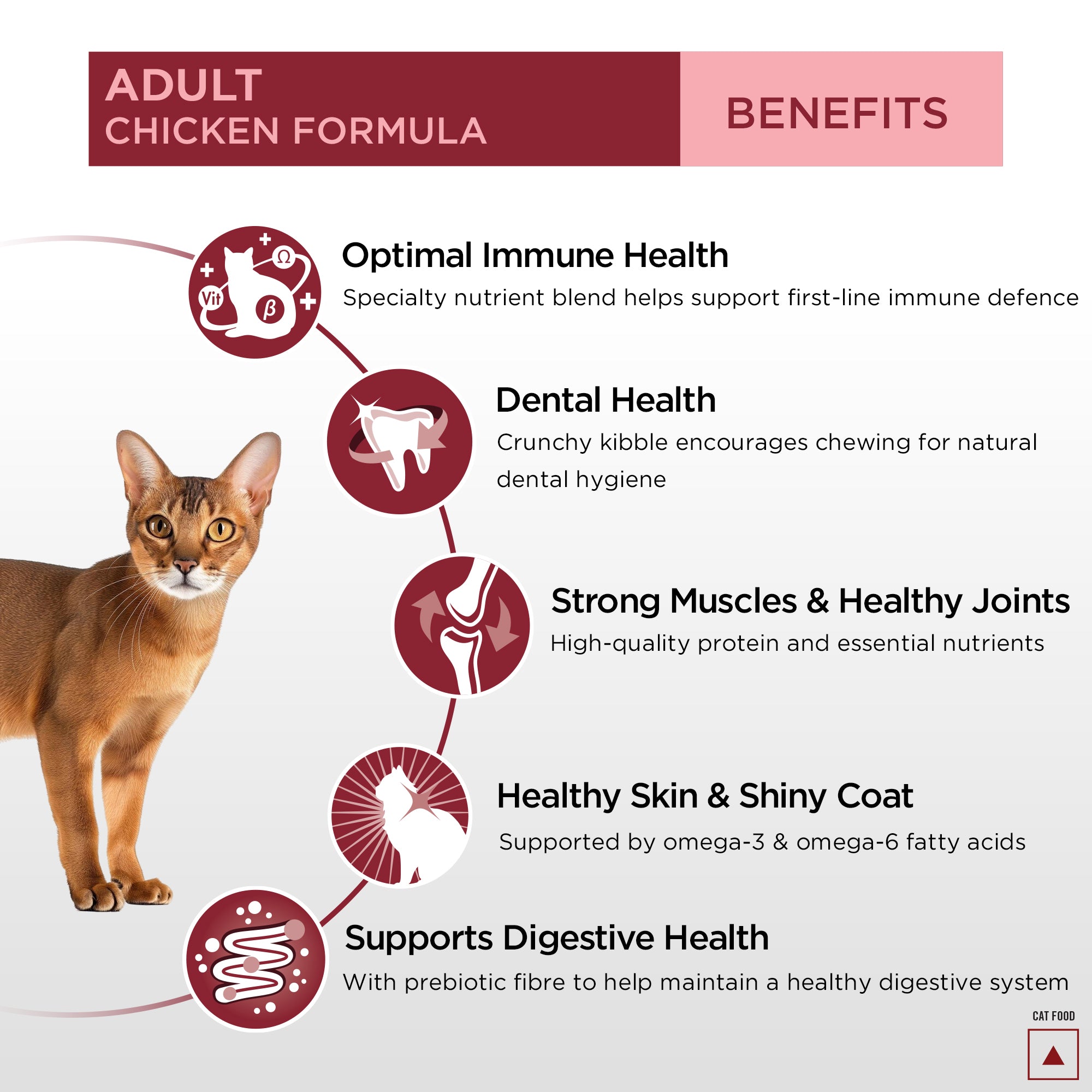 Pro Plan Chicken Flavoured Adult Cat Dry Food Cats- Dry food Pro Plan