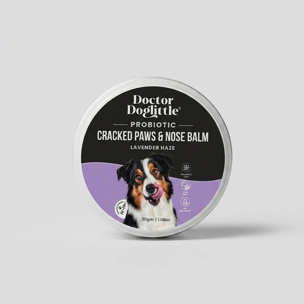 Doctor Doglittle Probiotic Cracked Paws and Nose Balm with Shea Butter for Dogs