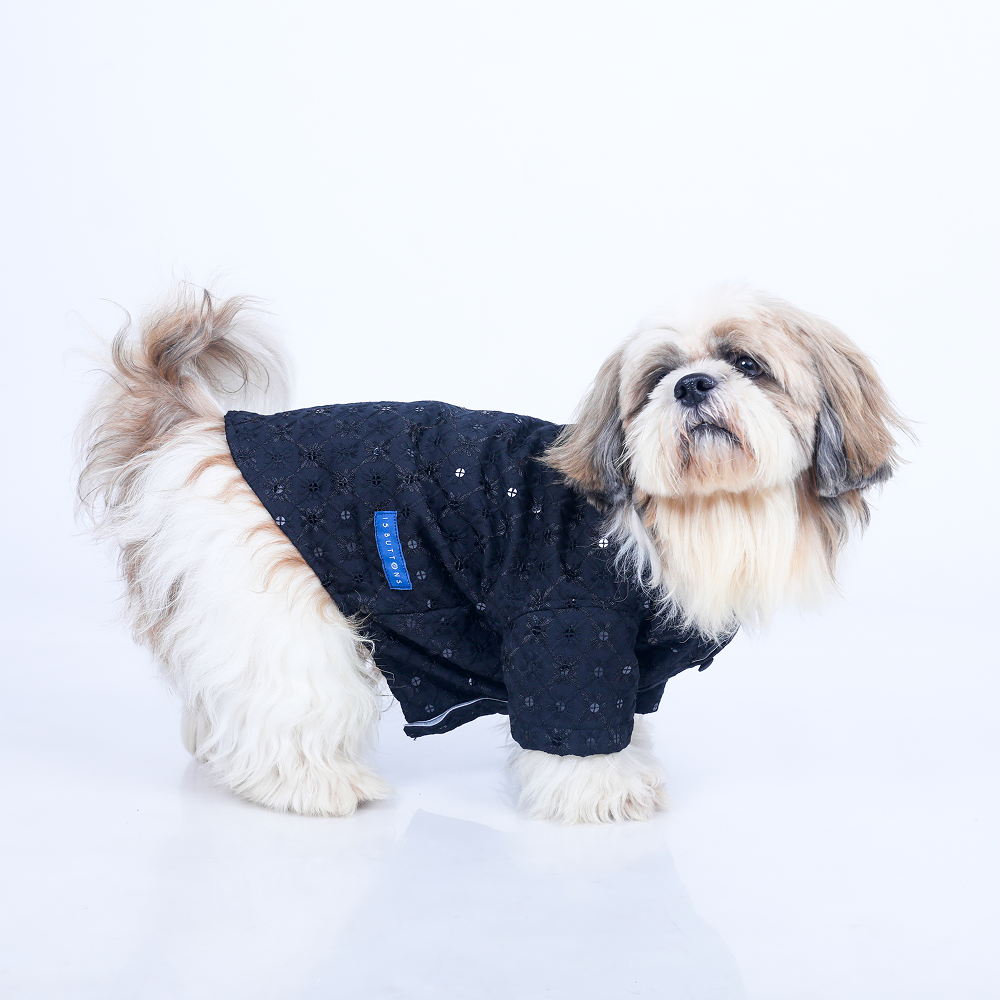 15 Furries Sherwani for Dogs (Black) Dogs-Clothing & Accessories 15 Furries Dropship XS
