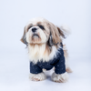 15 Furries Sherwani for Dogs (Black) Dogs-Clothing & Accessories 15 Furries Dropship