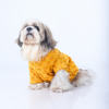 15 Furries Sherwani for Dogs (Yellow) Dogs-Clothing & Accessories 15 Furries Dropship