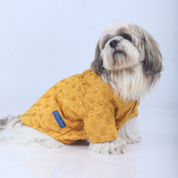 15 Furries Sherwani for Dogs (Yellow) Supertails