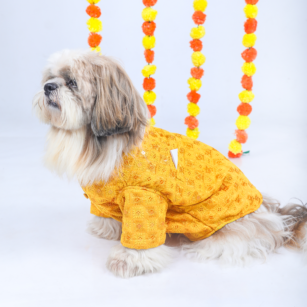 15 Furries Sherwani for Dogs (Yellow) Dogs-Clothing & Accessories 15 Furries Dropship