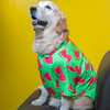 15buttons Watermelon Shirt for Dogs Dogs-Clothing & Accessories 15buttons Dropship
