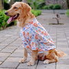 15buttons Animal Kingdom Shirt for Dogs Dogs-Clothing & Accessories 15buttons Dropship