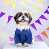 15 Furries Mirrorwork Kurta for Dogs (Persian Blue) Dogs-Clothing & Accessories 15 Furries Dropship