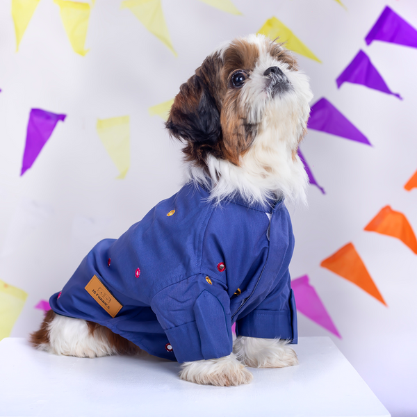 15 Furries Mirrorwork Kurta for Dogs (Persian Blue)