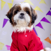 15 Furries Mirrorwork Kurta for Dogs (Electric Red) Dogs-Clothing & Accessories 15 Furries Dropship