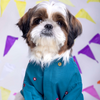 15 Furries Mirrorwork Kurta for Dogs (Teal Blue) Dogs-Clothing & Accessories 15 Furries Dropship M