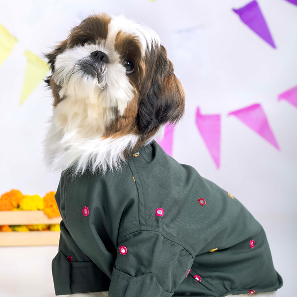 15 Furries Mirrorwork Kurta for Dogs (Hunter Green)