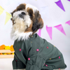 15 Furries Mirrorwork Kurta for Dogs (Hunter Green) Dogs-Clothing & Accessories 15 Furries Dropship