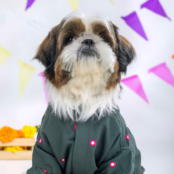 15 Furries Mirrorwork Kurta for Dogs (Hunter Green)