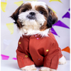 15 Furries Mirrorwork Kurta for Dogs (Rust Orange) Dogs-Clothing & Accessories 15 Furries Dropship