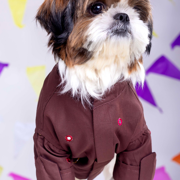 15 Furries Mirrorwork Kurta for Dogs (Chocolate Brown)