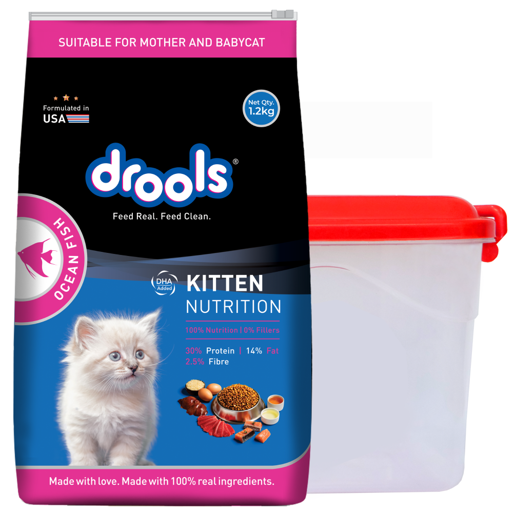Drools Ocean Fish Kitten Cat Dry Food Cats- Dry food Drools