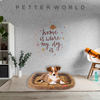Petter World Ultra Soft Mat with Padded Bed for Dogs (Mocha Brown) Dogs-Bedding, Mats & Travel Supplies Petter World Dropship