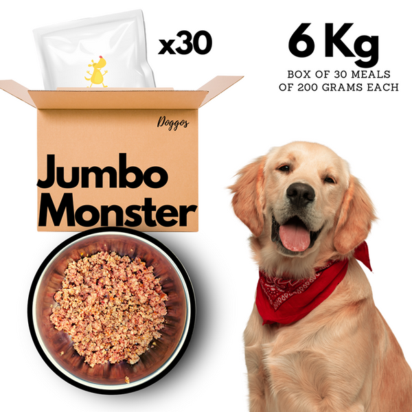 Doggos Jumbo Monster Chicken and Pumpkin Fresh Dog Wet Food (All Breeds)