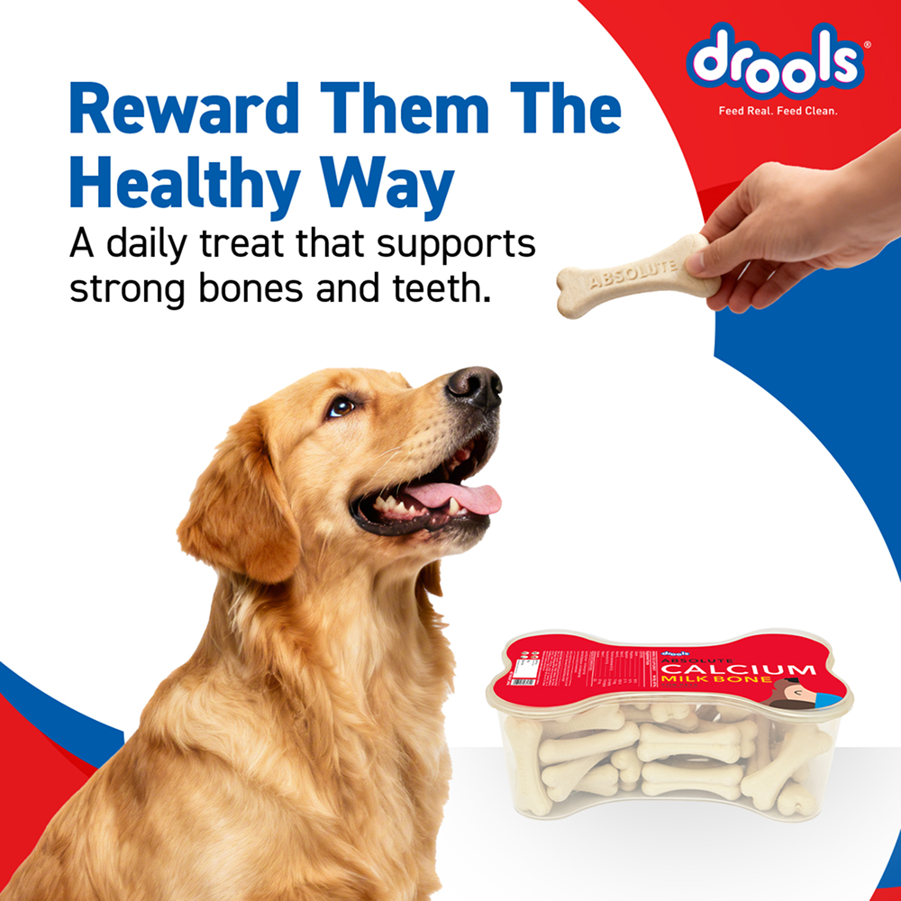 Drools Absolute Milk Bone Jar Dog Treats + Others Drools