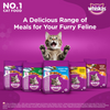 Whiskas Ocean Fish and Tuna Flavour Adult Cat Dry Food Combo Cats- Dry food Whiskas
