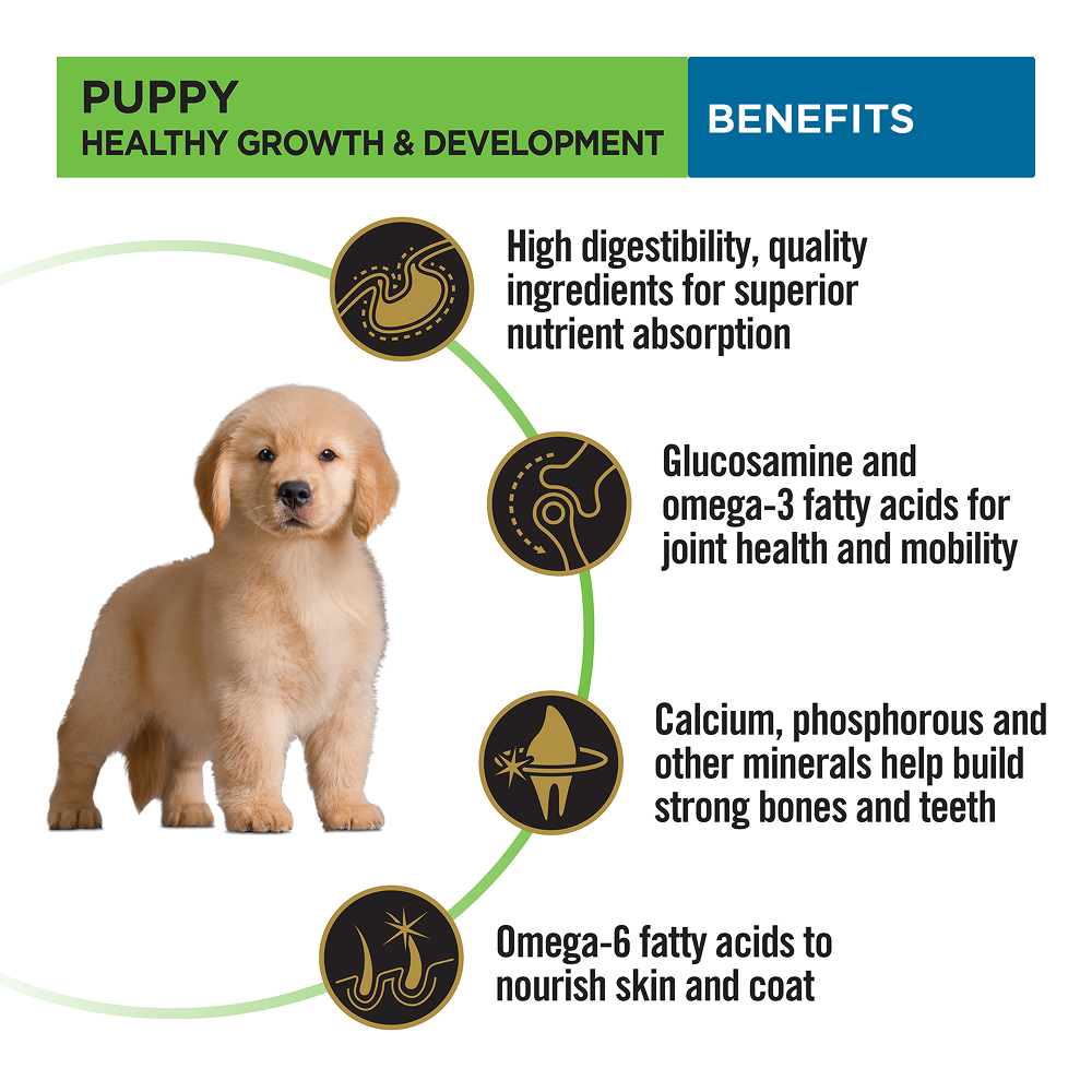 Pro Plan Chicken Large Breed Puppy Dog Dry Food (New Improved Formula) Dogs- Dry Food Pro Plan