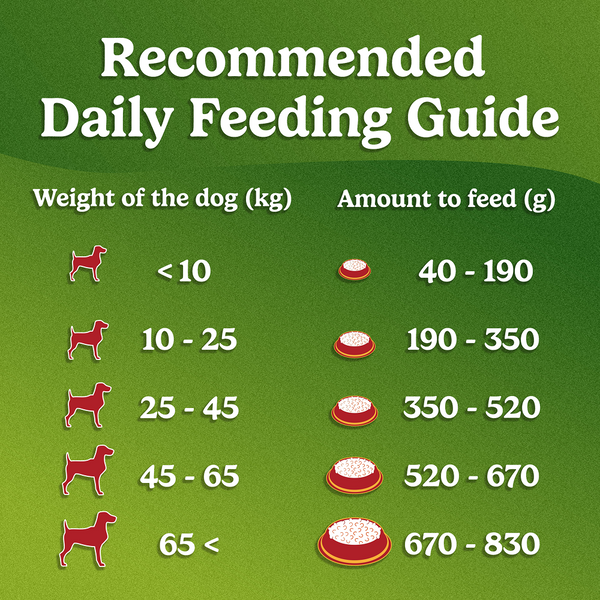 Purina Friskies Meat Adult Dog Dry Food