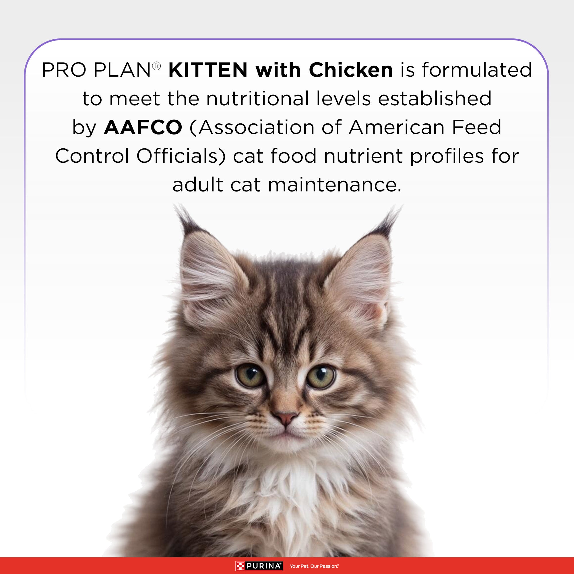 Pro Plan Chicken Flavoured Kitten Cat Dry Food Cats- Dry food Pro Plan