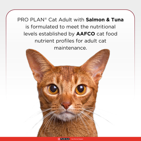 Pro Plan Salmon Tuna Flavoured Adult Cat Dry Food
