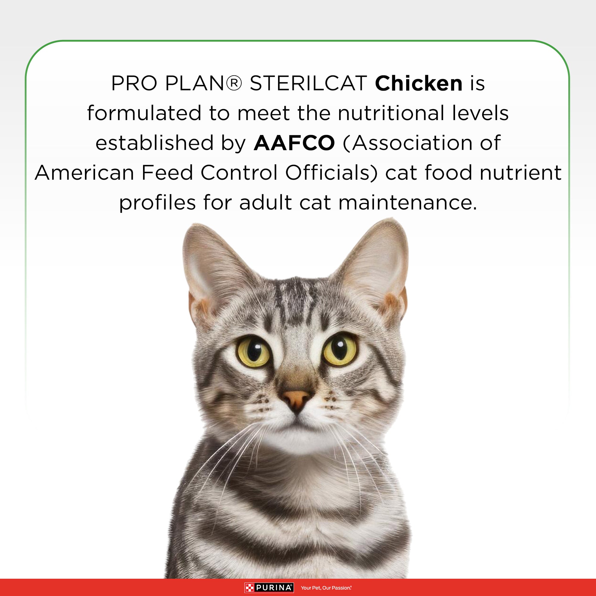 Pro Plan Chicken Flavoured Sterilcat Cat Dry Food Cats- Dry food Pro Plan