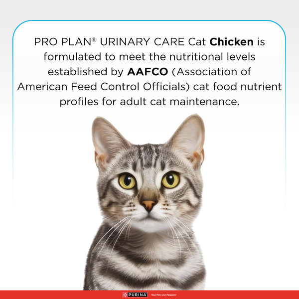 Pro Plan Chicken Flavoured Urinary Care Cat Dry Food
