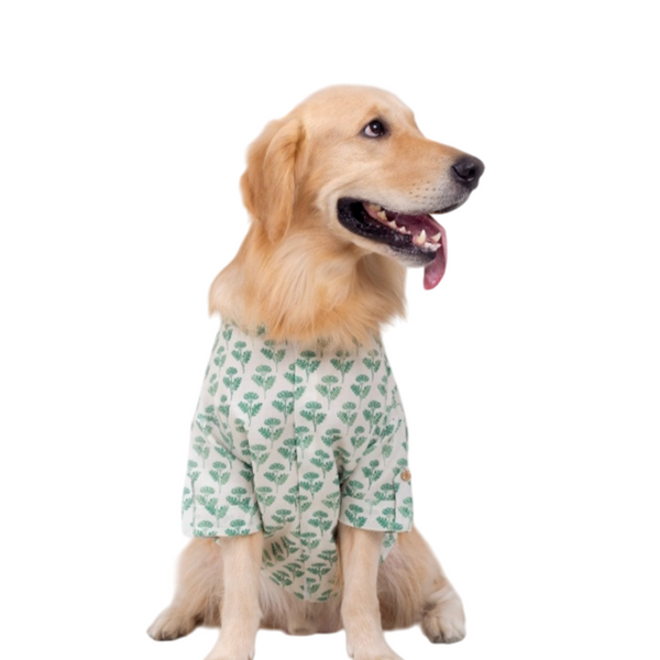 15 Furries Hariyali Kurta for Dogs