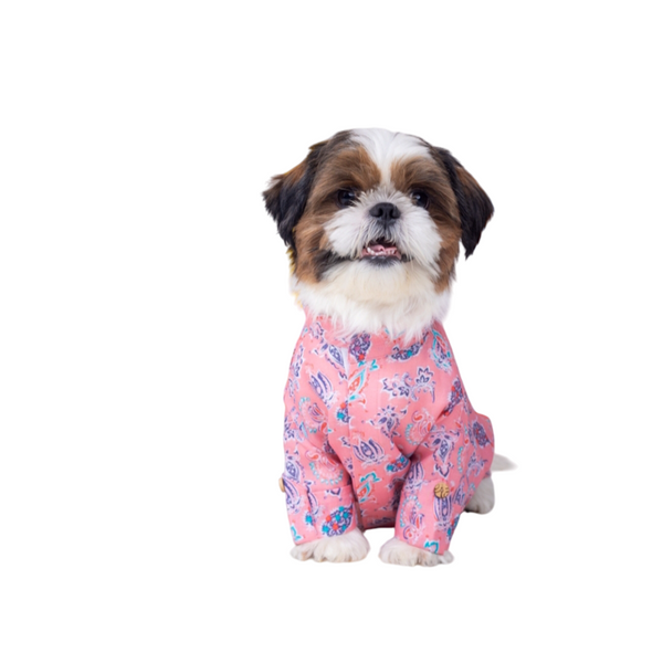 15 Furries Utsav Kurta for Dogs