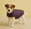 15 Furries Wine Puffer Jacket for Dogs Dogs-Clothing & Accessories 15 Furries Dropship XS