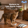 Drools Mackerel Adult Cat Dry Food Cats- Dry food Drools