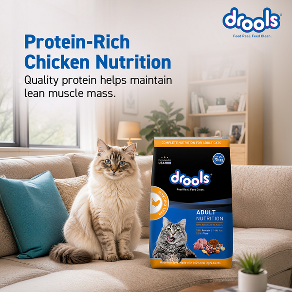 Drools Real Chicken Adult Cat Dry Food