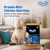 Drools Real Chicken Adult Cat Dry Food Cats- Dry food Drools