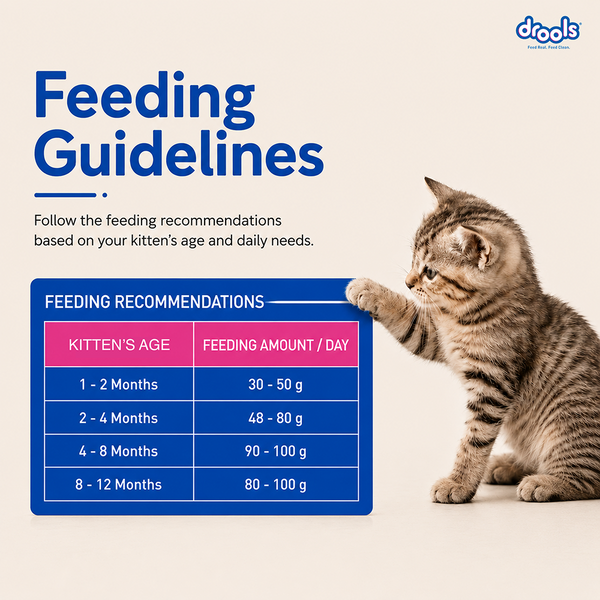 Drools Ocean Fish Kitten Cat Dry Food