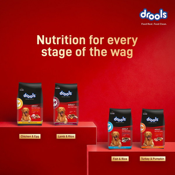 Drools Meat and Milk Puppy Dog Dry Food
