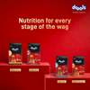 Drools Meat and Milk Puppy Dog Dry Food Dogs- Dry Food Drools
