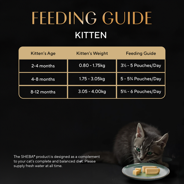 Sheba Maguro Pate Rich Premium Kitten Cat Wet Food