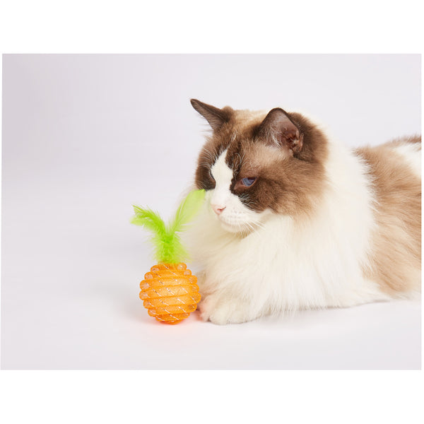 Fofos Fruity Netting Ball Toy for Cats