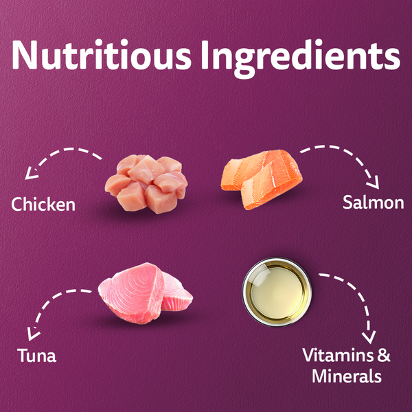 Whiskas Chicken with Salmon in Jelly Adult Cat Wet Food