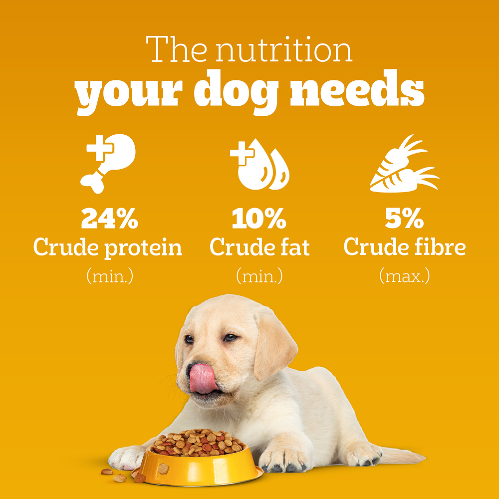 Pedigree Chicken and Milk Puppy Dog Dry Food Dogs- Dry Food Pedigree