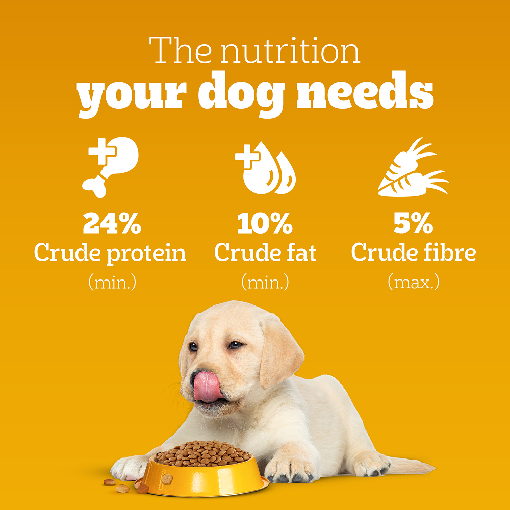 Pedigree Meat & Milk Puppy Dry Food Dogs- Dry Food Pedigree