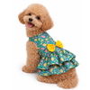 Pawgypets Fruity Casual Dress for Dogs (Green) Dogs-Clothing & Accessories Pawgypets Dropship XXS