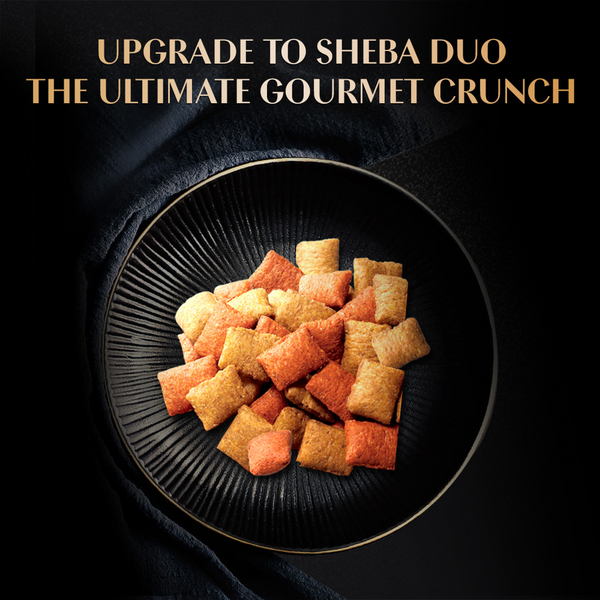 Sheba Duo Tuna & Chicken, Salmon & Tuna, Chicken & Salmon Crunchy Adult Cat Treats