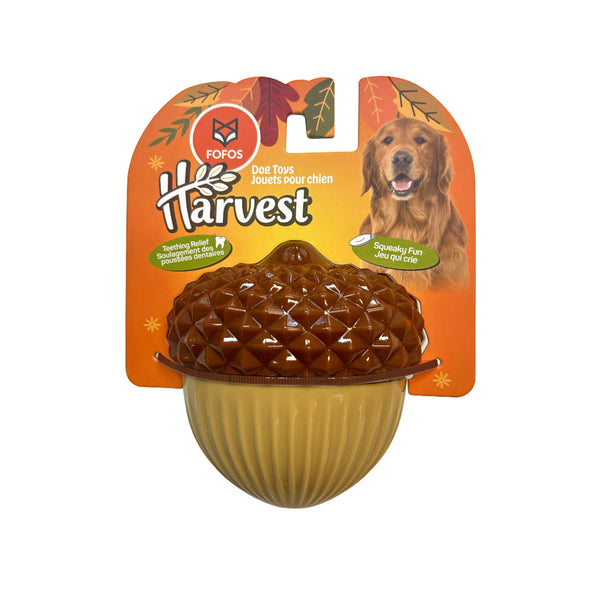 Fofos Harvest Acorn TPR Toy for Dogs