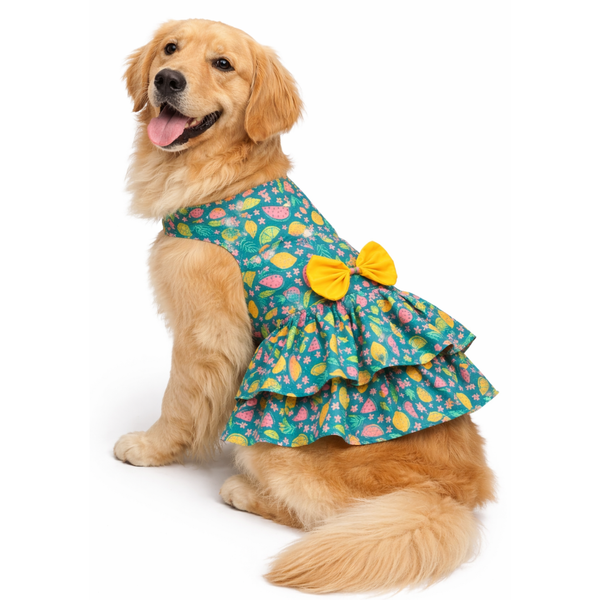 Pawgypets Fruity Casual Dress for Dogs (Green)