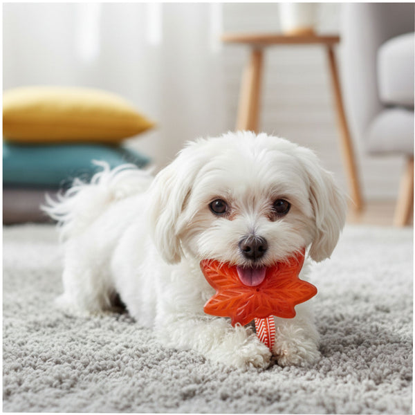 Fofos Harvest Maple Leaf Rope Toy for Dogs