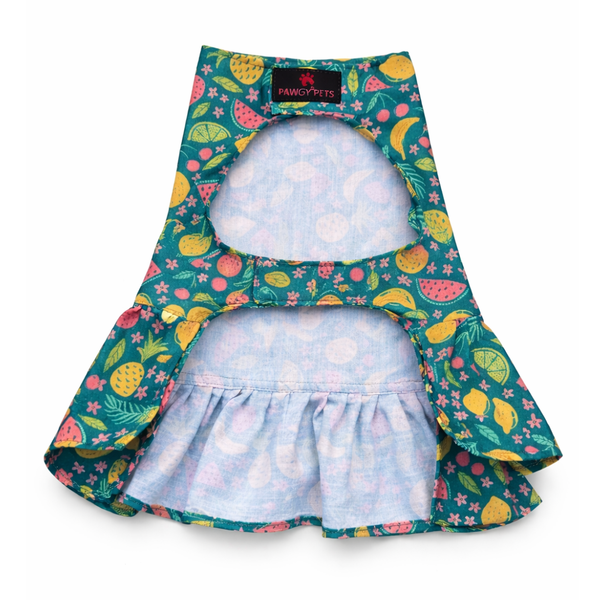 Pawgypets Fruity Casual Dress for Dogs (Green)